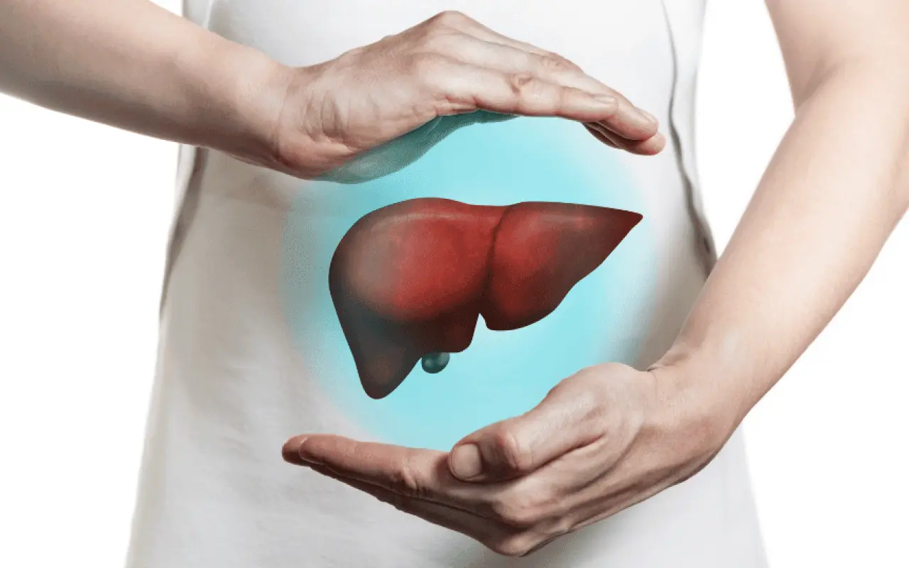 Il fegato fa tutto da solo: ecco quante cose incredibili gestisce ogni giorno nel nostro corpo