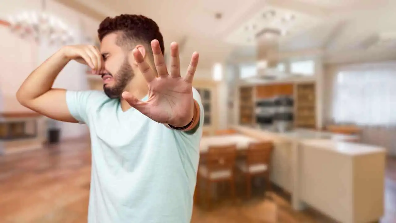 La nuova tendenza per la casa che combatte gli odori: ecco il metodo delle nonne che funziona davvero