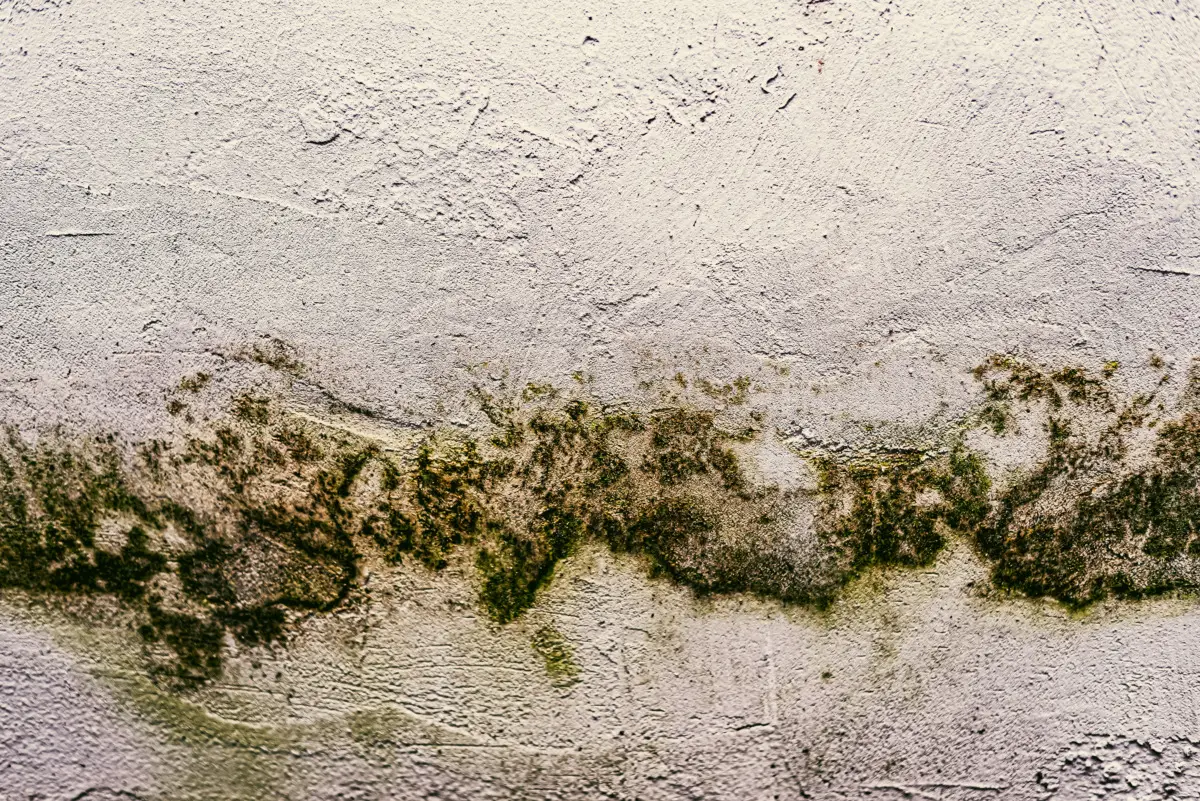 Macchie gialle misteriose sui muri? Ecco la causa nascosta e pericolosa a cui fai attenzione