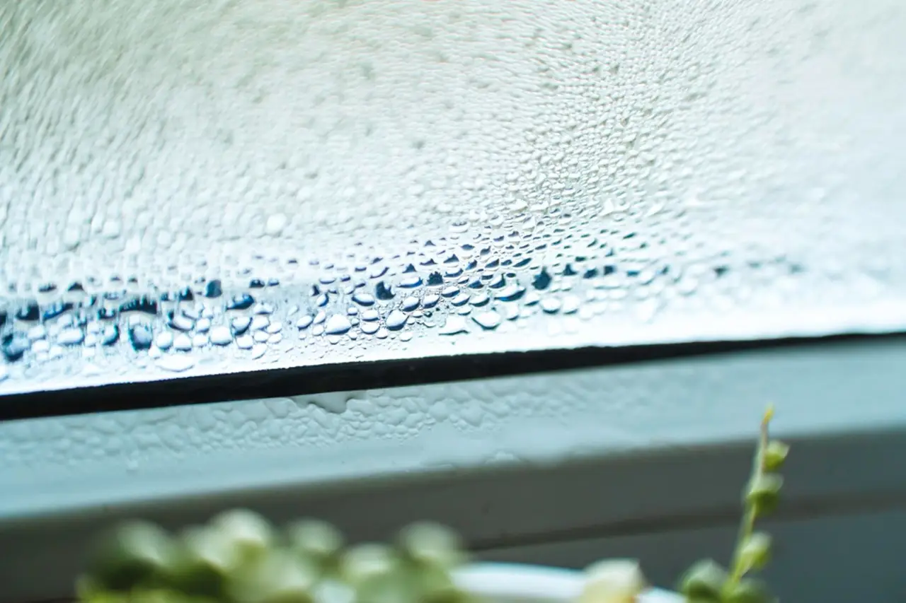 Se in casa hai 30 gradi l’umidità deve essere esattamente questa: scopri perché