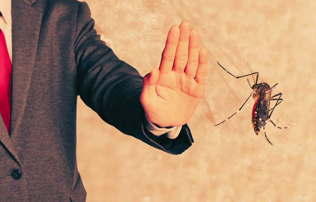 Come fanno i comuni a disinfestare le zanzare? Ecco il metodo