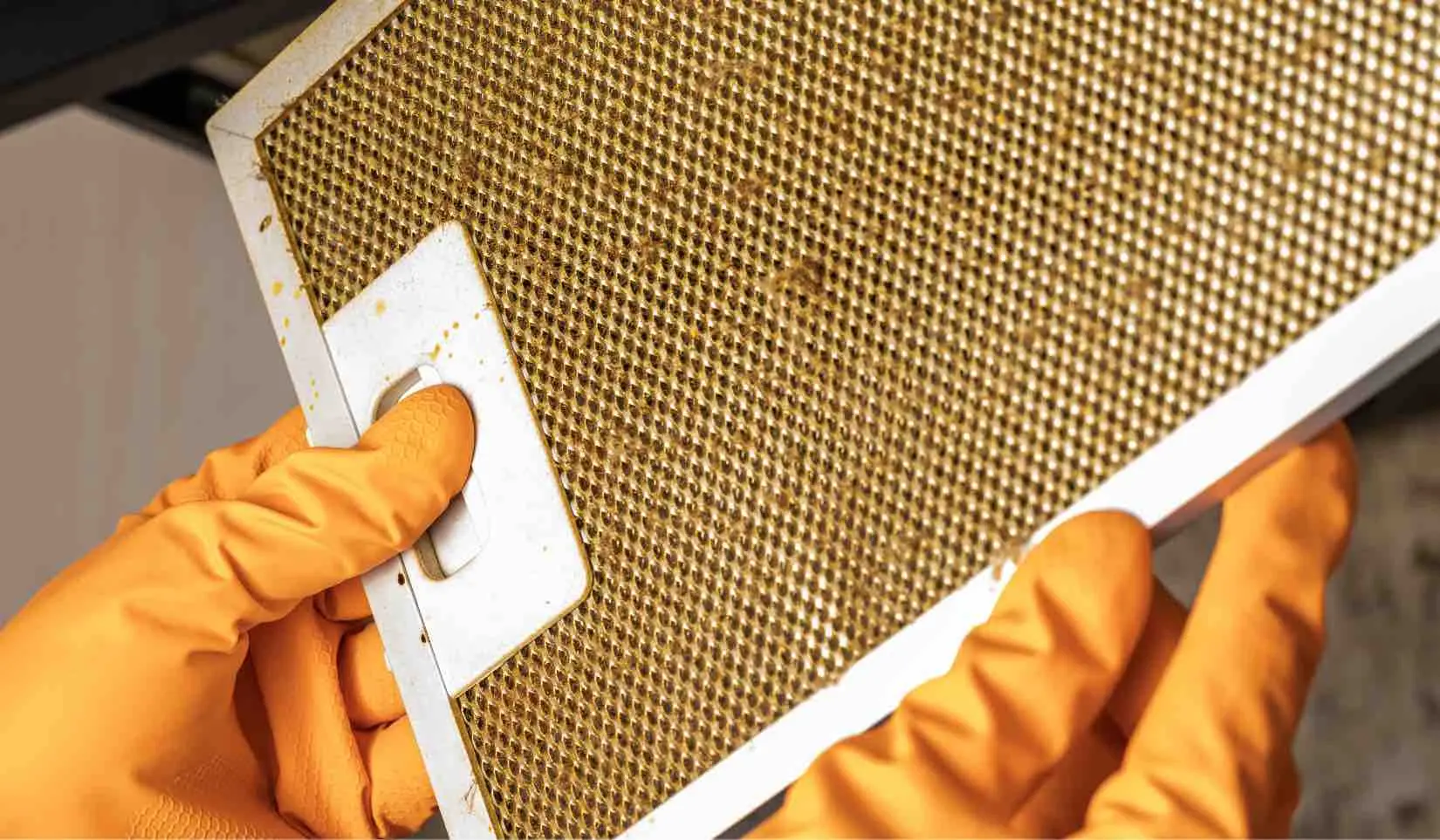 Il nuovo calendario per la pulizia dei filtri condizionatori cosa fare a casa e in ufficio