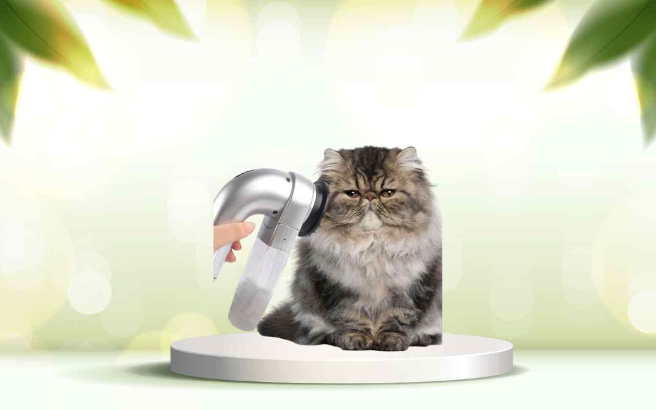 Elimina i peli degli animali in casa con SpazzolAmica: prova ora la comodità